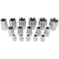 5-Point EPR Torx Socket Set, 16 Pieces, 1/4"/3/8"/1/2" Drive Size Seaboard Timber Mart