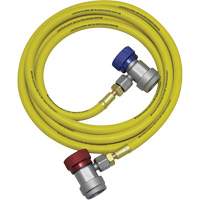 R134a A/C System Flush Hose Assembly Seaboard Timber Mart