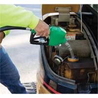 Pistolet de distribution automatique vert pour diesel Seaboard Timber Mart