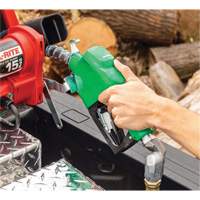 Pistolet de distribution automatique vert pour diesel Seaboard Timber Mart