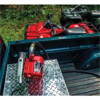 Pompe de transfert de carburant 12 V CC avec pistolet Seaboard Timber Mart