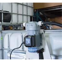 Pompe de transfert de fluide d'&eacute;chappement diesel (DEF) 115 V CA avec support pour cuve GRV et pistolet Seaboard Timber Mart