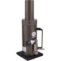 Safety Locking Collar Jack, 6" Stroke, 50 Ton(s) Capacity, 10000 PSI Seaboard Timber Mart