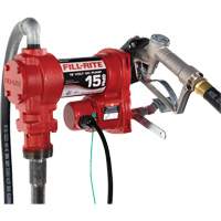 Pompe de transfert de carburant 12 V CC avec pistolet Seaboard Timber Mart