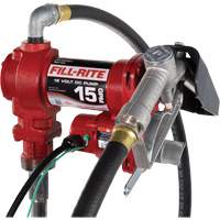 Pompe de transfert de carburant 12 V CC avec pistolet Seaboard Timber Mart