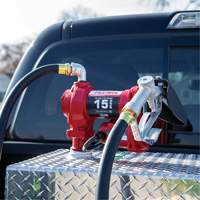 Pompe de transfert de carburant 12 V CC avec pistolet Seaboard Timber Mart