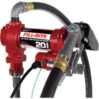 Pompe de transfert de carburant 12 V CC avec pistolet Seaboard Timber Mart