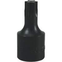 Embout Torx&reg; T-50 Seaboard Timber Mart