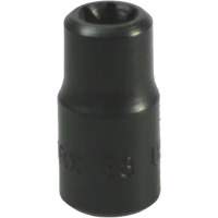Douille Torx&reg; E-8 Seaboard Timber Mart
