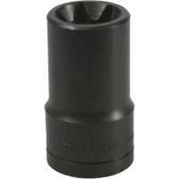 Douille Torx&reg; E-20 Seaboard Timber Mart