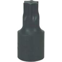 Grand embout Torx&reg; T-70 Seaboard Timber Mart