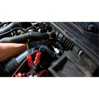 Short Frame Brake-Pro Pressure Brake Bleeder with Adapters Seaboard Timber Mart