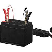 Batterie au lithium &agrave; double usage de groupe 24, 90 Ah Seaboard Timber Mart