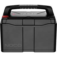 Batterie lithium-ion LiFePO4 &agrave; double usage de groupe 31, 120 Ah Seaboard Timber Mart