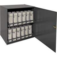 Aerosol Storage Cabinet, Steel, 21-7/8" H x 15-15/16" W x 20-5/16" D, Grey Seaboard Timber Mart
