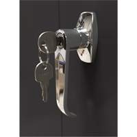 Armoire d'entreposage, Acier, 4 Tablettes, 66" h x 30" la x 15" P, Noir Seaboard Timber Mart