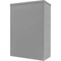 Armoire de rangement &agrave; hauteur de comptoir, Acier, 2 Tablettes, 42" h x 48" la x 24" P, Gris Seaboard Timber Mart