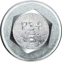 Boulons d'ancrage Power Bolt &agrave; manchon amovible Seaboard Timber Mart