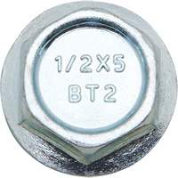 Boulons Wedge Bolts, Acier au carbone, 1/2" x 2" Seaboard Timber Mart