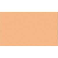 Cales minces chromocod&eacute;es en plastique Seaboard Timber Mart
