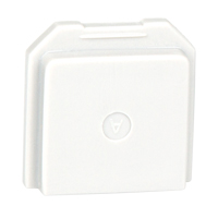 Faux capteurs de d&eacute;tecteur des gaz BW pour endroits toxiques Seaboard Timber Mart