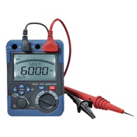 Insulation Resistance Tester, Digital Seaboard Timber Mart
