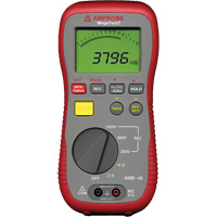 AMB-45 Digital Megohmmeter Seaboard Timber Mart