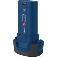 R2170 3.7 V Replacement Battery Seaboard Timber Mart