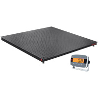 Balances de plancher Defender 3000, Capacit&eacute; de 5000 lb, 4' lo x 4' la Seaboard Timber Mart