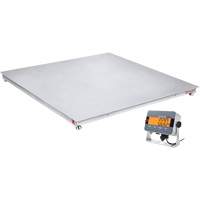 DEFENDER 3000 Floor Scale, 2500 lbs. Capacity, 48" W x 48" L Seaboard Timber Mart