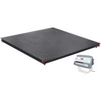 DEFENDER 5000 Floor Scale, 2500 lbs. Capacity, 48" W x 48" L Seaboard Timber Mart