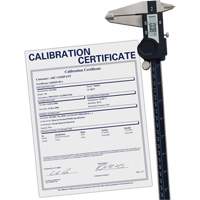 Digital Caliper with Traceable Certificate, 0.0005" (0.01 mm) Resolution, 0" - 12" (0 mm - 300 mm) Range Seaboard Timber Mart