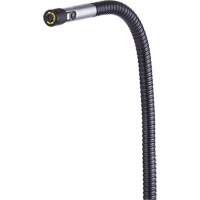VS80 Dual HD Camera Probe Seaboard Timber Mart