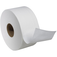 Advanced Soft Mini Toilet Paper, Jumbo Roll, 2 Ply, 751' Length, White Seaboard Timber Mart
