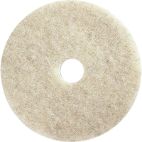 Tampons de machine pour plancher