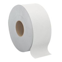 Papier hygi&eacute;nique Pro Select, Rouleau G&eacute;ant, 2 Pli, Longueur 500', Blanc Seaboard Timber Mart