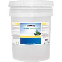 Dynamite Odourless Stripper & Degreaser, 20 L, Pail Seaboard Timber Mart