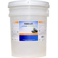 Power Lift Industrial Degreaser, 20 L, Pail Seaboard Timber Mart