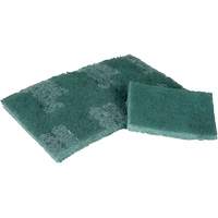 Scrubber Pad, 3" L x 4-1/2" W Seaboard Timber Mart