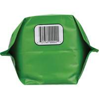 Biodegradable Hand Cleaner, Powder, 4.5 lbs., Packet, Unscented Seaboard Timber Mart