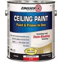 Peinture et appr&ecirc;t pour plafond en un seul produit, Blanc, Tr&egrave;s mat, 3,78 L, Gallon Seaboard Timber Mart