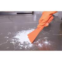 Racloir manuel grand format, Rose, 4" la x 10" lo Seaboard Timber Mart