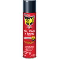 Insecticide contre fourmis, coquerelles et perce-oreilles Raid, 350 g, &agrave; base de solvant Seaboard Timber Mart