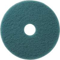 Aqua Floor Pads, 19", Burnishing, Aqua Seaboard Timber Mart