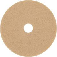 Trizact Diamond TZ Abrasive Strip, 20", Burnishing, Beige Seaboard Timber Mart