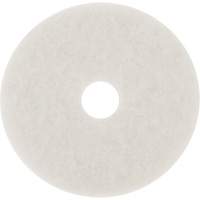 Floor Pad, 10", Buffing/Cleaning/Polish, White Seaboard Timber Mart