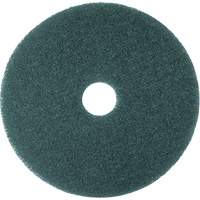 Hi-Performance Pad, 11", Cleaning/Scrubbing, Blue Seaboard Timber Mart