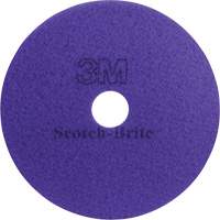 Tampon haute performance, 12", Nettoyage/Polissage, Mauve Seaboard Timber Mart