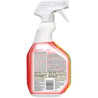 Disinfecting Bio Stain & Odour Remover, 946 ml, Trigger Bottle Seaboard Timber Mart