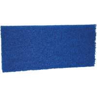 Medium Scrub Pad, 10" L x 4-1/2" W Seaboard Timber Mart